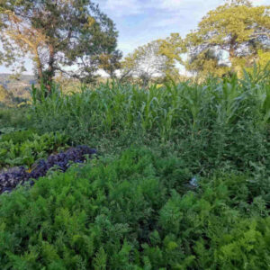 Was mir aus der Sucht geholfen hat